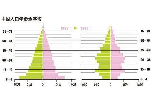 中国人口年龄金字塔.jpg